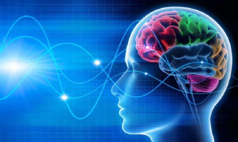 Sóng não được chia thành 5 loại khác nhau 