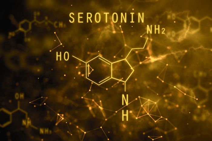 Serotonin là gì
