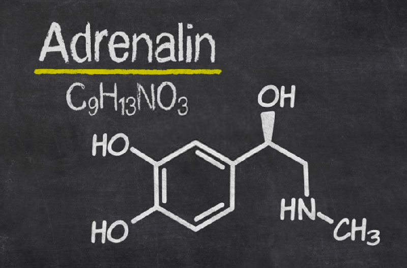 Adrenaline còn có tên gọi khác là Epinephrine 