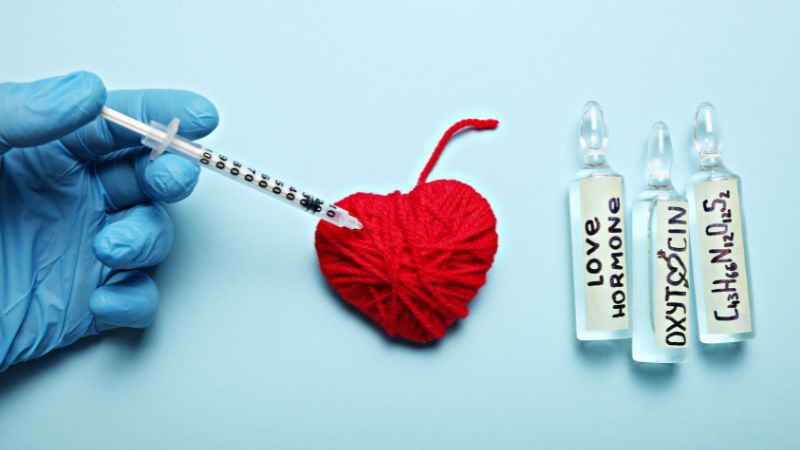 Oxytocin có vai trò quan trọng gì? Cách gia tăng hormone tình yêu 11 Oxytocin là gì