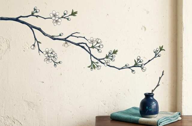 Hình ảnh minh họa ý nghĩa tên Anh Chi: nhánh hoa anh đào chớm nở thanh tao trên nền tường đất kem tinh tế