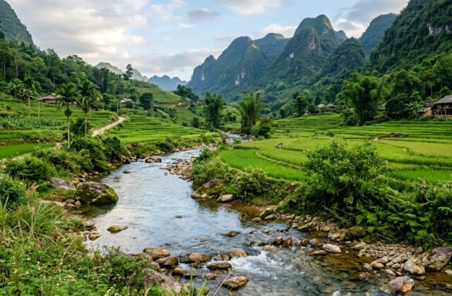 Minh họa ý nghĩa tên Duy Tuyền
