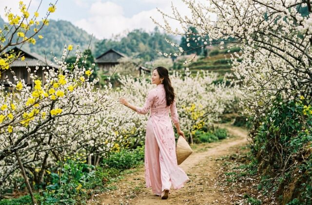 Minh họa ý nghĩa tên Hiền Mai