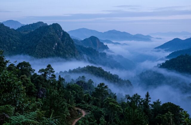 Minh họa ý nghĩa tên Hiểu Lam